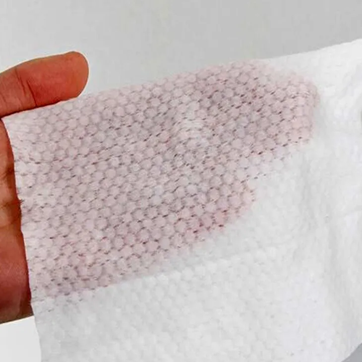 Individually Wrapped Flushable Toilet Wipes 3